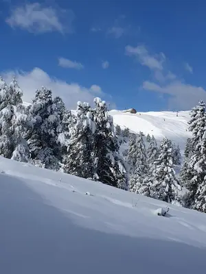 L'établissement les etoiles de la plagne le quartz en hiver