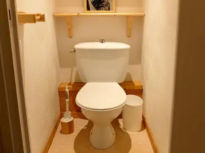 Salle de bains dans l'établissement Studio rénové avec balcon, skis aux pieds, animaux acceptés - FR-1-502-496