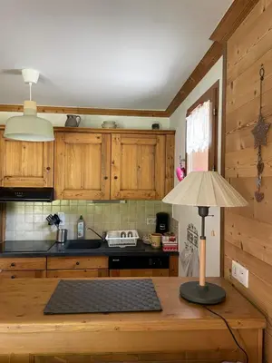 Cuisine ou kitchenette dans l'établissement T2 vue sur le parc de la vanoise