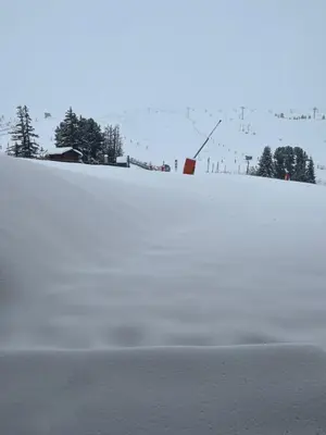 L'établissement BELLE PLAGNE - Appartement 6 personnes sur les pistes en hiver