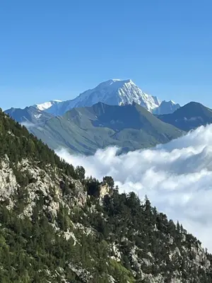 Paysage naturel près de l'appartement