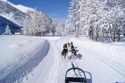 L'établissement 15 Grande Ourse sleeps 4/5 Vallandry - Les Arcs en hiver