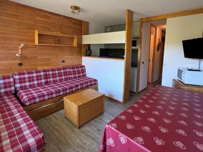 Télévision ou salle de divertissement dans l'établissement Appartement cosy, accès direct pistes, balcon, 5 personnes - FR-1-181-2760