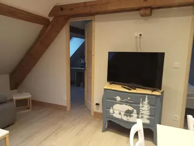 Télévision ou salle de divertissement dans l'établissement la grande ourse