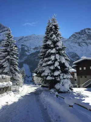 L'établissement Beau 3 pièces avec vue Montana 4 en hiver