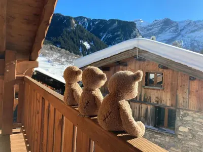 Vue générale sur la montagne ou vue sur la montagne depuis le chalet