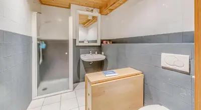 Salle de bains dans l'établissement Résidence Blue Wood - Appartement en chalet 8 personnes 4, séjour enfamille ou entre amis MAE-0701