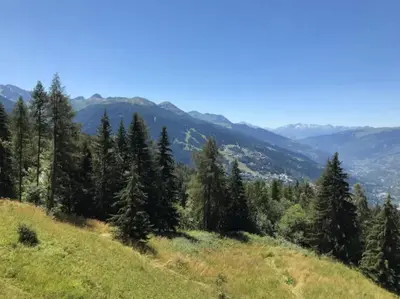 Paysage naturel près de l'appartement