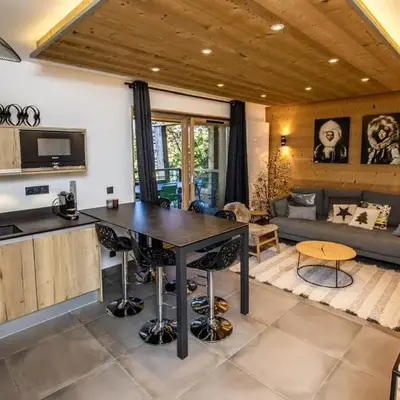 Appartement standing calme avec terrasse et espace bien-être - FR-1-346-577