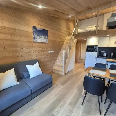 Studio rénové avec mezzanine et wifi