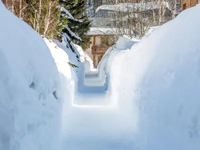 Plan de l'établissement Studio 19m², Balcon, Accès pistes - Val d'Isère - FR-1-694-360