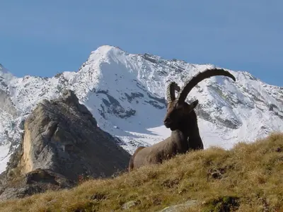 Vue générale sur la montagne ou vue sur la montagne depuis le village vacances