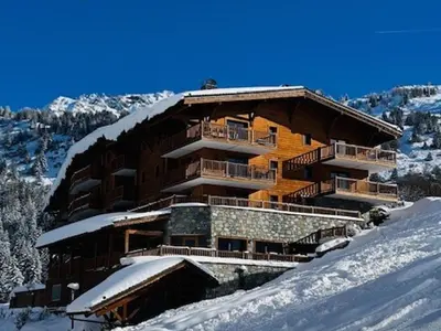 Vue générale sur la montagne ou vue sur la montagne depuis l'appartement