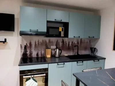 Cuisine ou kitchenette dans l'établissement Appartement T2 neuf et moderne
