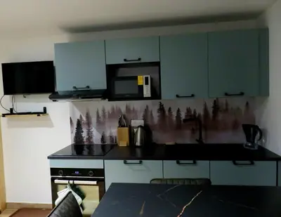 Cuisine ou kitchenette dans l'établissement Appartement T2 neuf et moderne