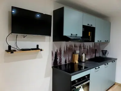 Cuisine ou kitchenette dans l'établissement Appartement T2 neuf et moderne