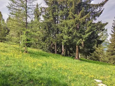 Paysage naturel près de l'appartement