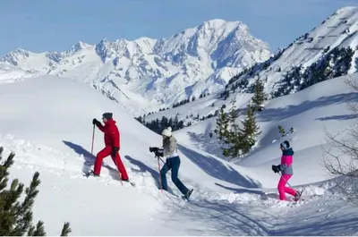 L'établissement L'Edelweiss, 2050m La Plagne, F2 Haut de gamme en hiver