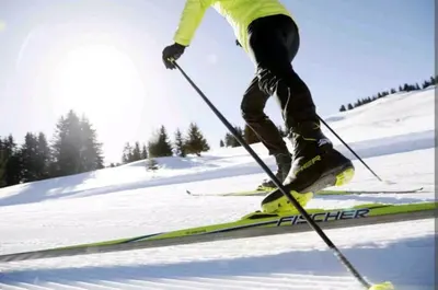 Ski au sein de l'appartement ou à proximité