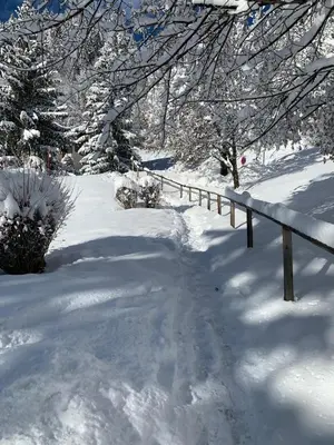 L'établissement Studio 4 p avec terrasse proche remontée mécanique en hiver