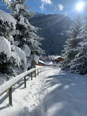 L'établissement Studio 4 p avec terrasse proche remontée mécanique en hiver