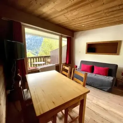 Studio 4 p avec terrasse proche remontée mécanique