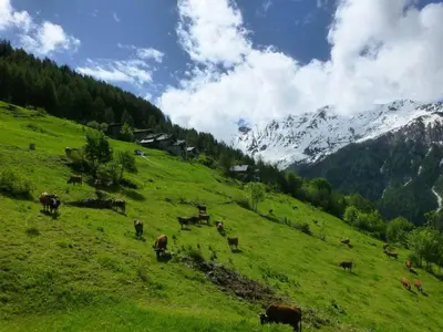 Paysage naturel près de l'appartement
