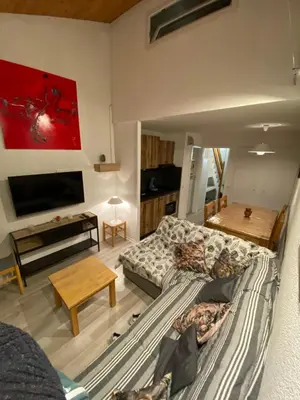 Télévision ou salle de divertissement dans l'établissement belleplagne