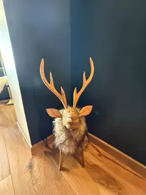Animaux dans l'appartement ou à proximité