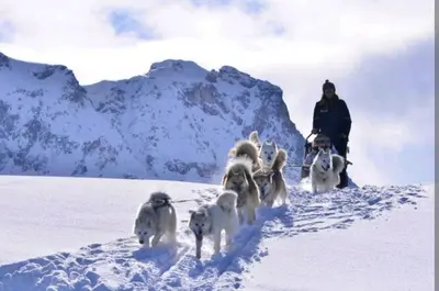 L'établissement Le Nuage - 2050 Belle Plagne, F2 Ski aux pieds en hiver