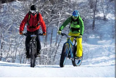 L'établissement Le Nuage - 2050 Belle Plagne, F2 Ski aux pieds en hiver
