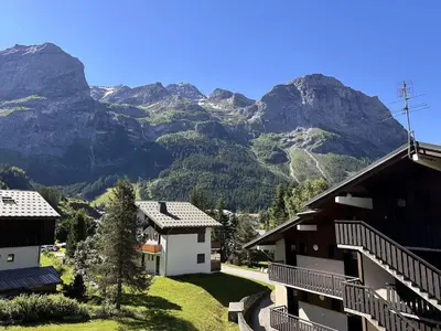 Vue générale sur la montagne ou vue sur la montagne depuis l'appartement