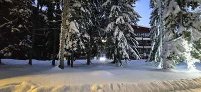 L'établissement Arcs 1800 Résidence Bellecote Studio 4 personnes et 1 bébé skis aux pieds en hiver