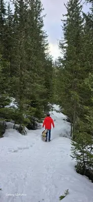 L'établissement Arcs 1800 Résidence Bellecote Studio 4 personnes et 1 bébé skis aux pieds en hiver
