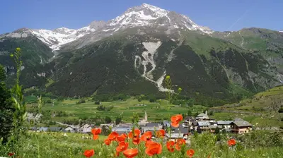 Paysage naturel près de l'appartement