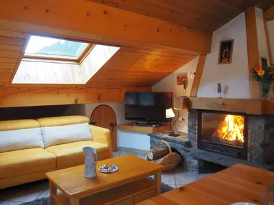 Télévision ou salle de divertissement dans l'établissement Chalet Les Barmés