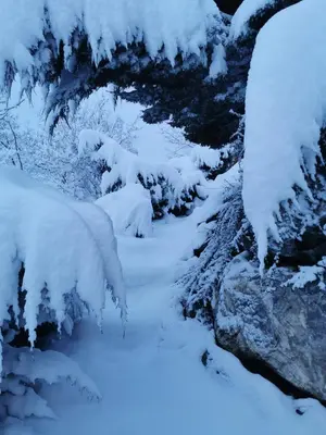 L'établissement Caravane 4 personnes au camping d'Aussois en hiver