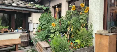 Jardin de l'établissement Les Glaciers