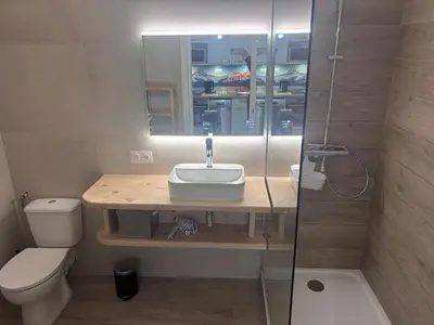 Salle de bains dans l'établissement Appartement calme proche navettes, proche piscine - FR-1-508B-50