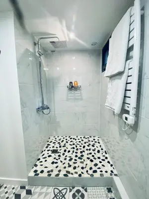 Salle de bains dans l'établissement Ici, dort un Gorille