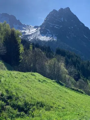 Paysage naturel près de le chalet