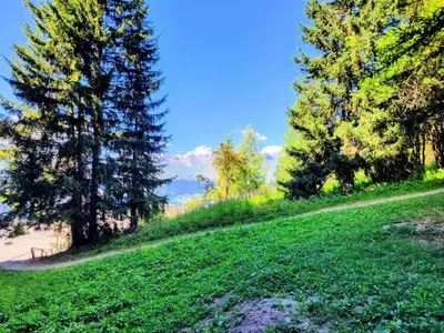 Paysage naturel près de l'appartement