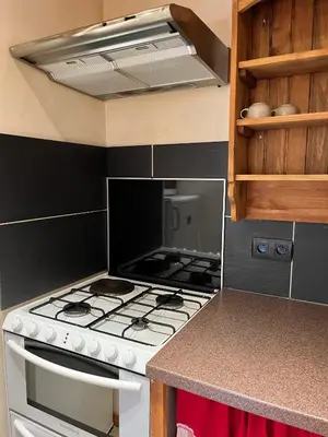 Cuisine ou kitchenette dans l'établissement Appartement 2 chambres avec poils à bois