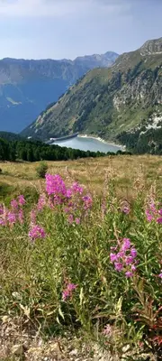 Paysage naturel près de le camping