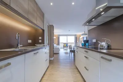 Cuisine ou kitchenette dans l'établissement Les Chalets Du Jardin Alpin