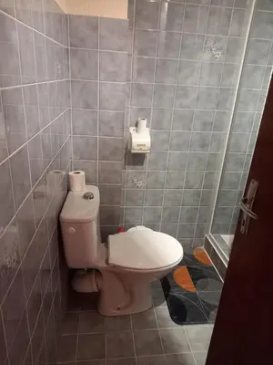 Salle de bains dans l'établissement appartement les belettes chaleureux et cosy