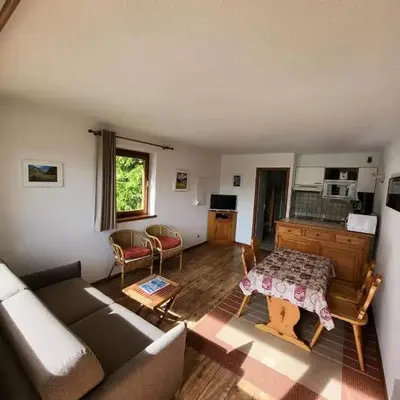 Résidence Les Balcons Des Curtious - Appartement 2 pièces coin montagne - 4 personnes MAE-2103