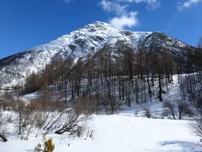 Paysage naturel près de l'appartement