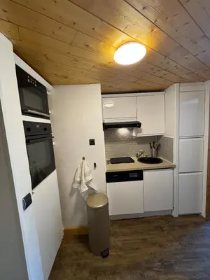 Cuisine ou kitchenette dans l'établissement Studio cabine balcon vue montagne pieds des pistes