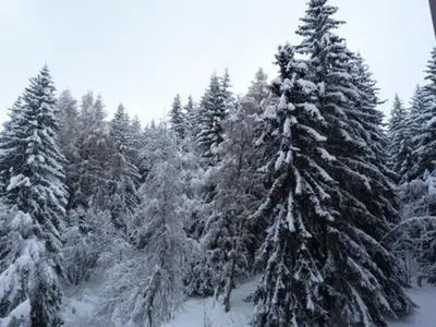 L'établissement Studio cosy à Arc 1800 pour 2 personnes - FR-1-411-999 en hiver